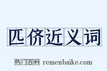 匹侪近义词是什么意思的图片